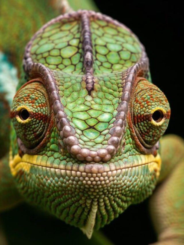 This Tech Turns 2D Videos Into 4D Worlds : 4DV.ai