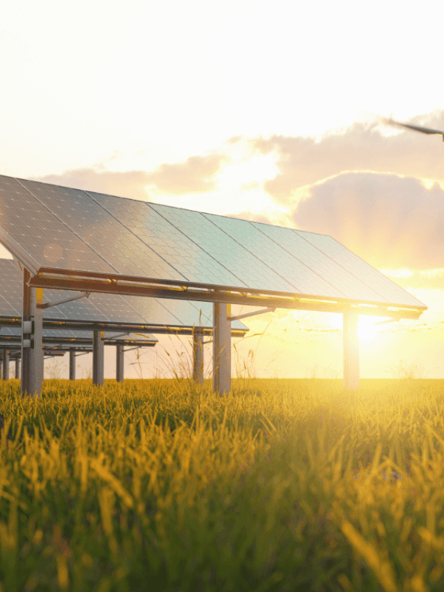 Fusion Energy: Unlimited Clean Power for the Future