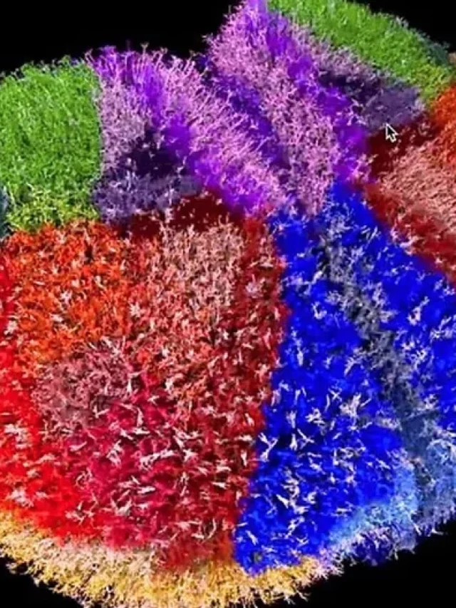 They Uploaded a Fly Brain to a Simulation (Are We Next?)