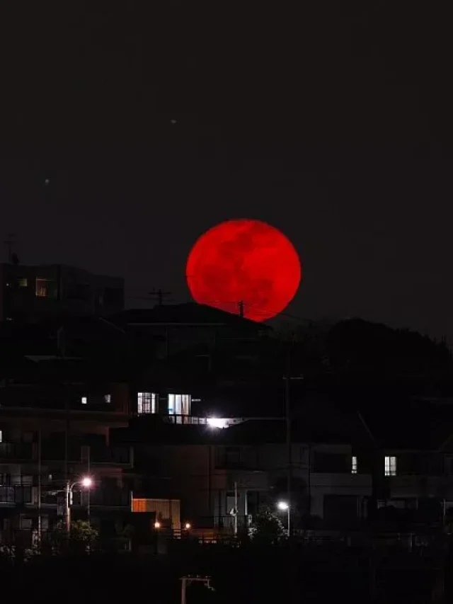Why Does the Moon Turn Red? The Science of the Blood Moon