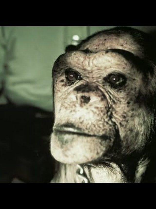 Can Future Tech Create Human-Monkey Mutants?